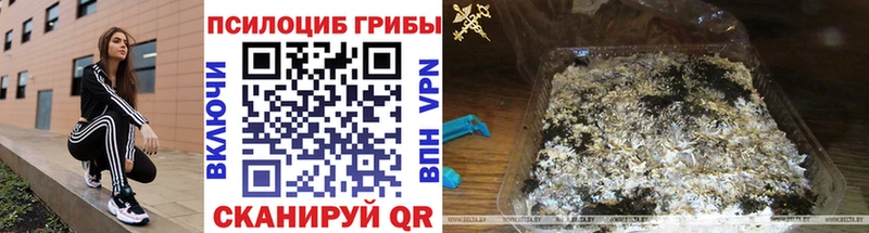 Галлюциногенные грибы мицелий ОМГ ОМГ ТОР Пущино купить